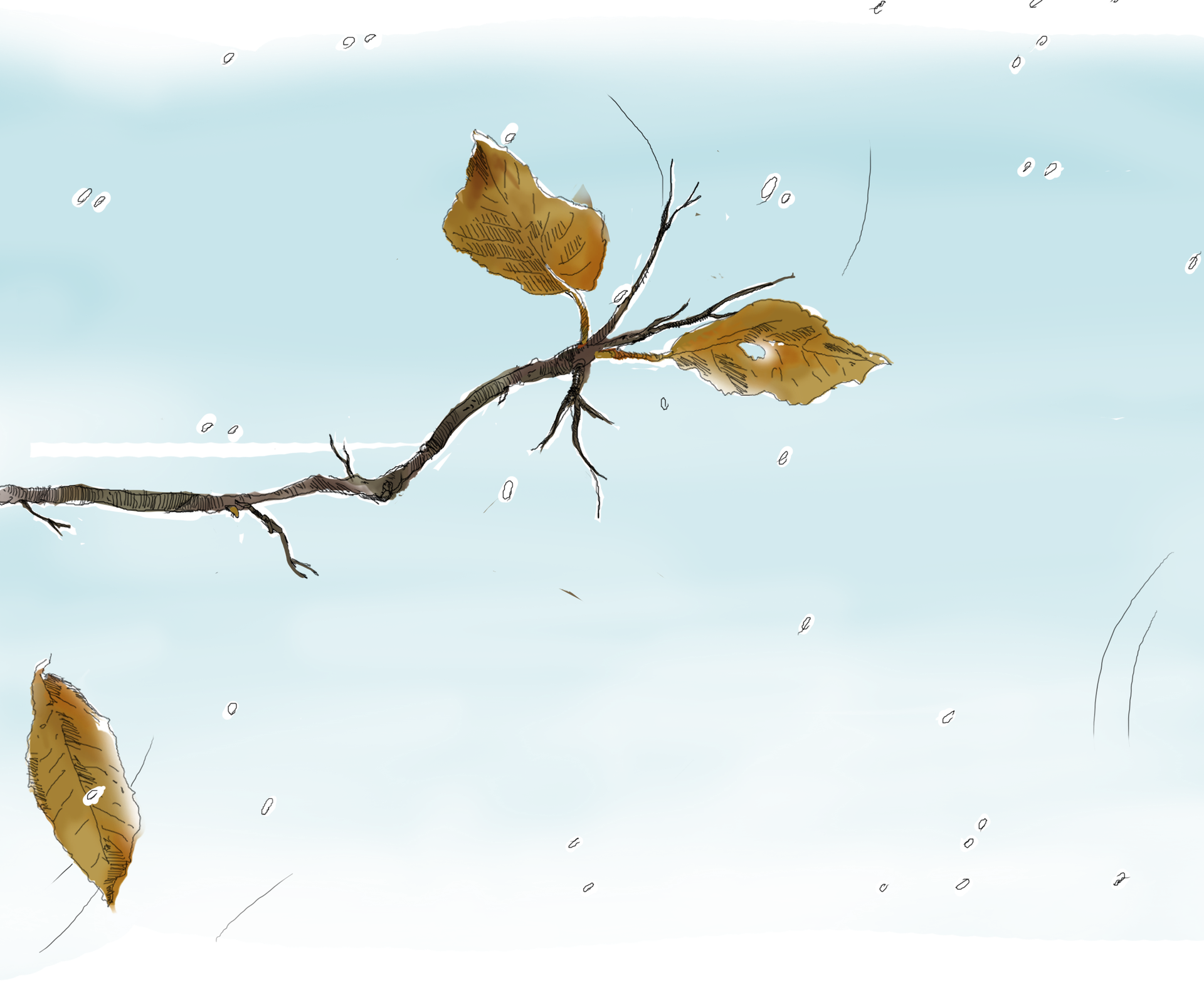 Stage Hiver