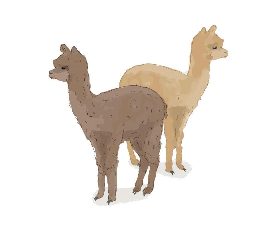 Un animal de la ferme