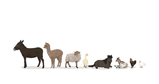 LES ANIMAUX & NOS 5 SENS