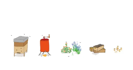 LES ABEILLES & LEUR RUCHE